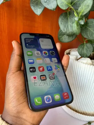 Apple iPhone 12 Pro Max 256 GB Blue