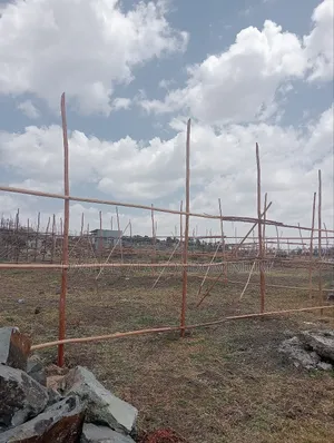 የሚሸጥ 500 ካሬ የልማት (የኮሪደር ተነሺ) መሬት