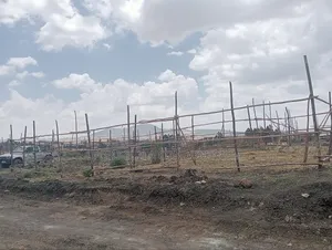 የሚሸጥ 500 ካሬ የልማት (የኮሪደር ተነሺ) መሬት