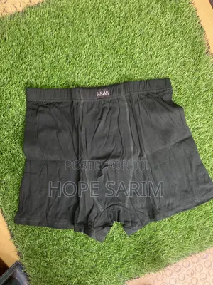 የዶሬሚ (Doremi) Boxer