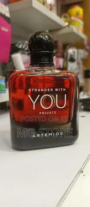 Stranger With You Private Artemios