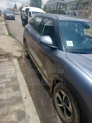 New BYD Yuan Up 45 kWh FWD 2024 Gray