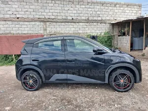 BYD Seagull 2024
