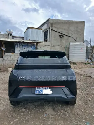 BYD Seagull 2024
