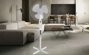Stand Fan.