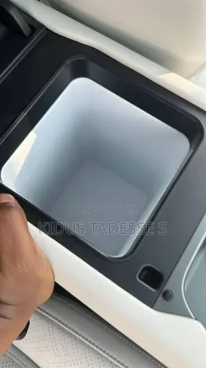 New BYD Leopard 3 2025 Gray