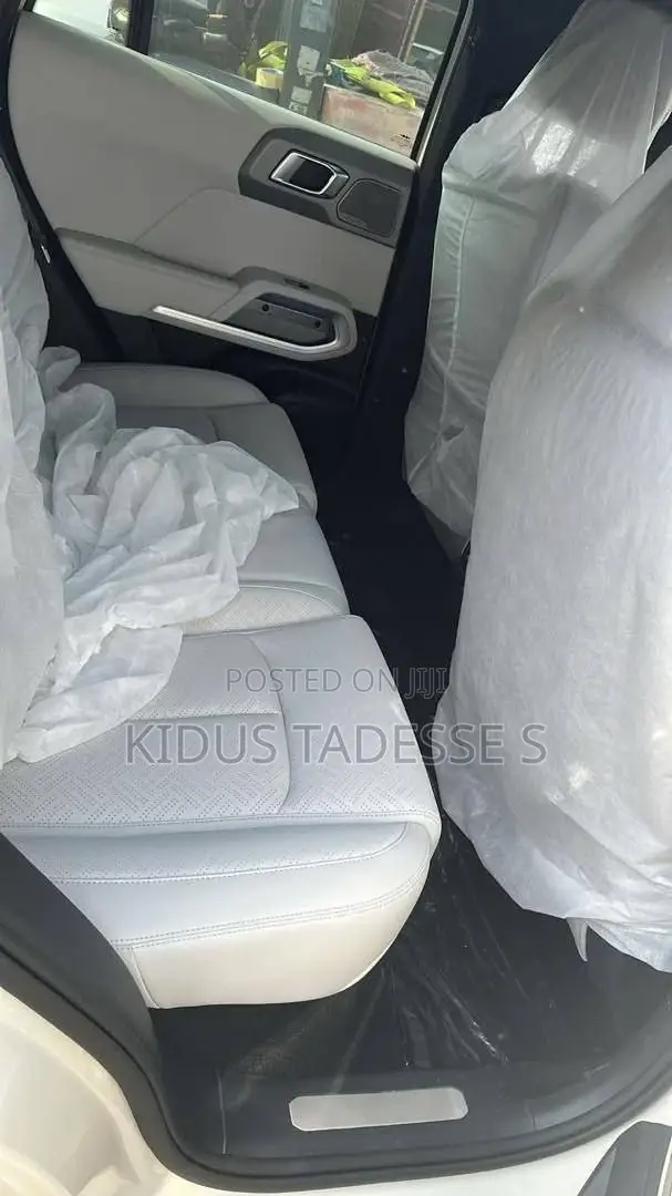 New BYD Leopard 3 2025 Gray