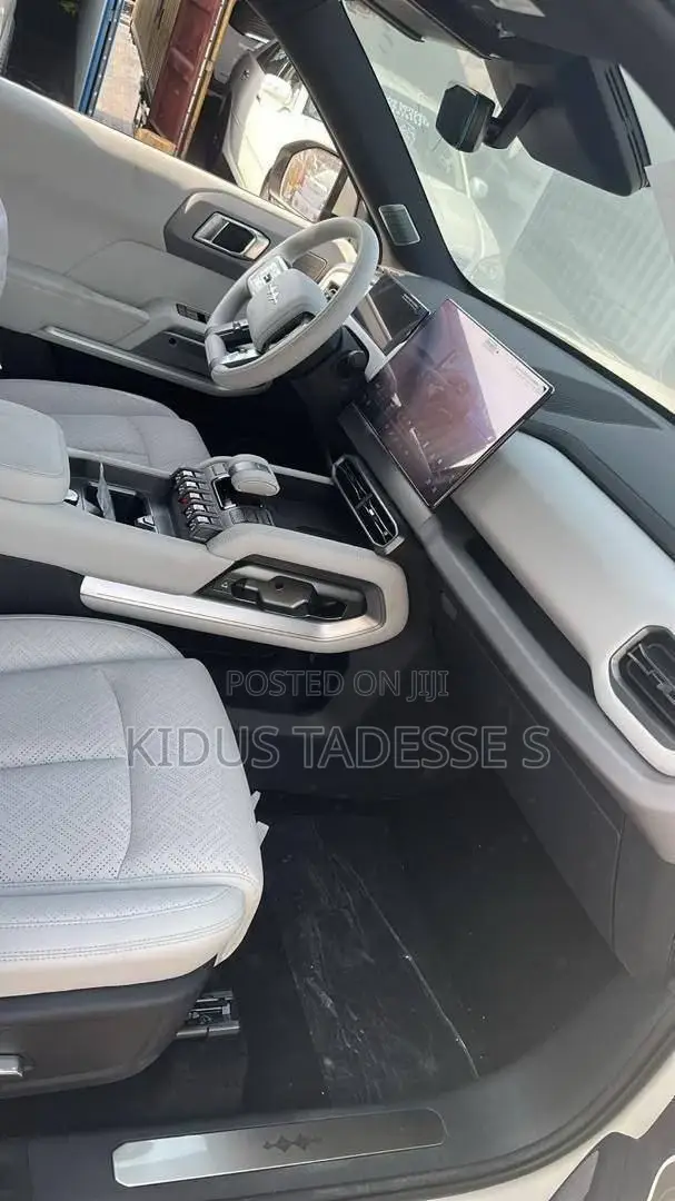 New BYD Leopard 3 2025 Gray