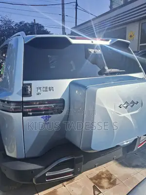 New BYD Leopard 3 2025 Gray
