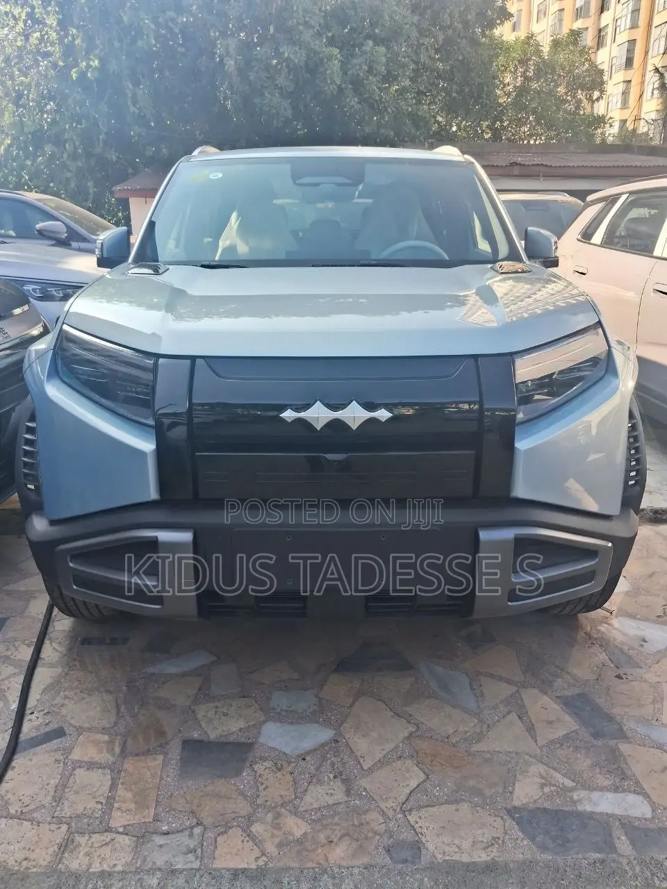 New BYD Leopard 3 2025 Gray