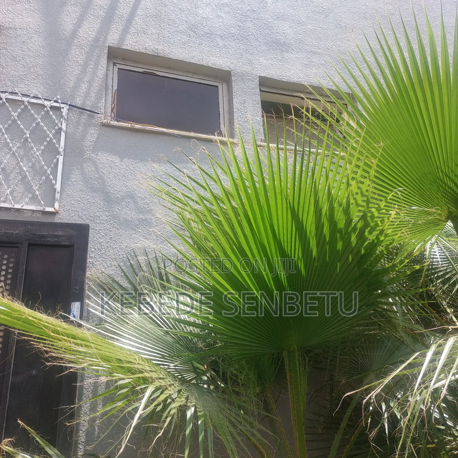 Furnished 5bdrm House in Oromia, East Shewa for rent