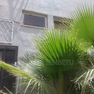 Furnished 5bdrm House in Oromia, East Shewa for rent