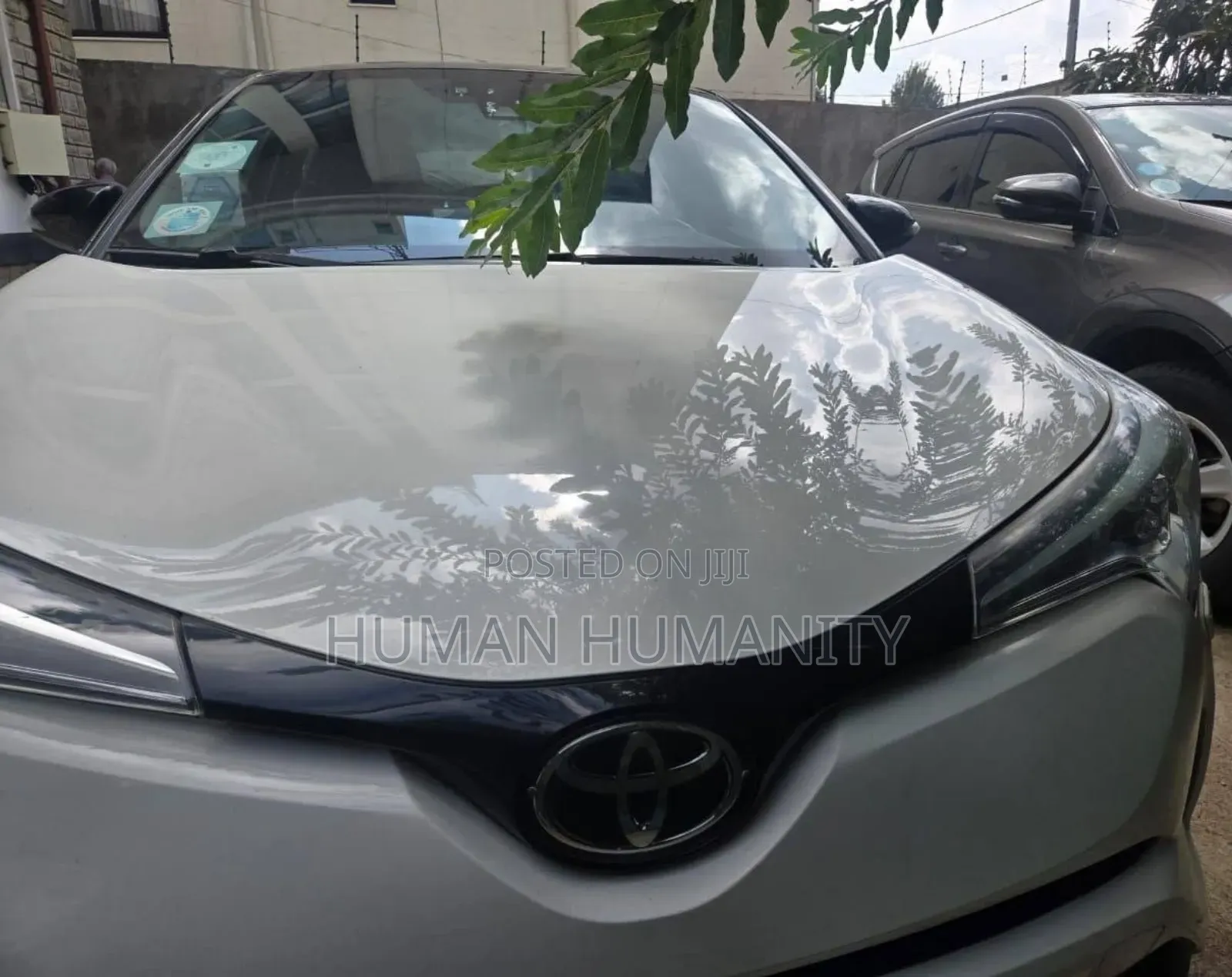 Toyota C-HR 2021 White
