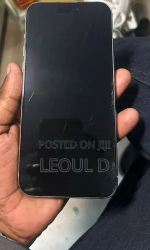 Apple iPhone 15 Pro Max 256 GB Silver