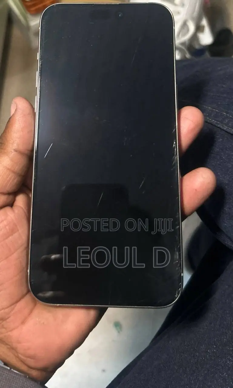 Apple iPhone 15 Pro Max 256 GB Silver