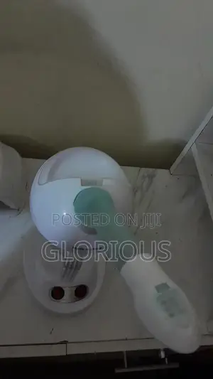 Face Care Steamer