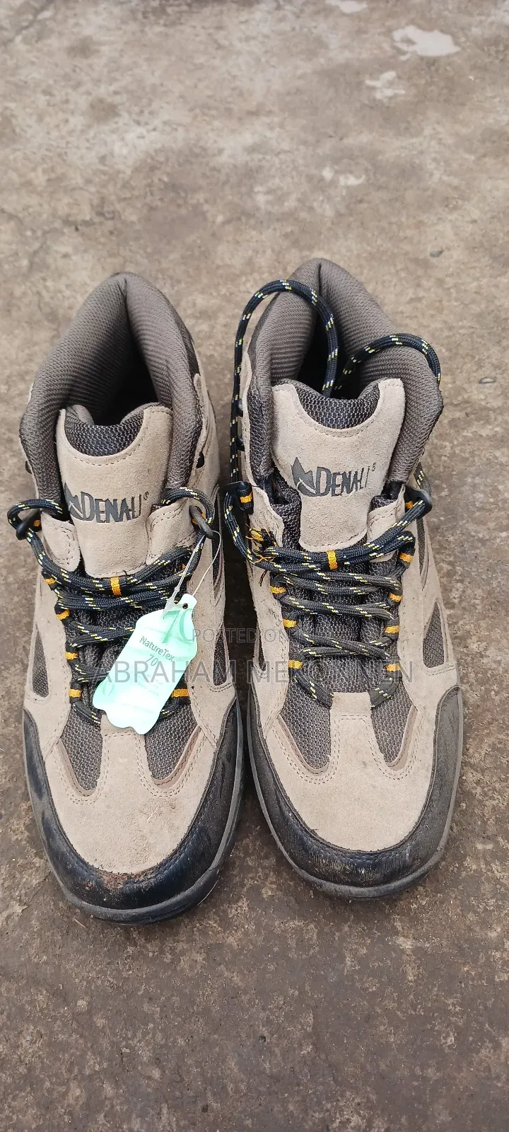 Denali Naturetex 70 Hiking Boots