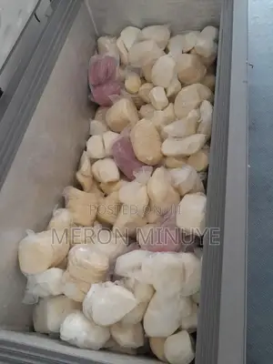 Fresh Mozzarella Cheese for Pizza and Burger