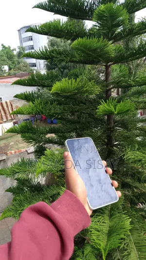 Samsung Galaxy A16 128 GB Blue