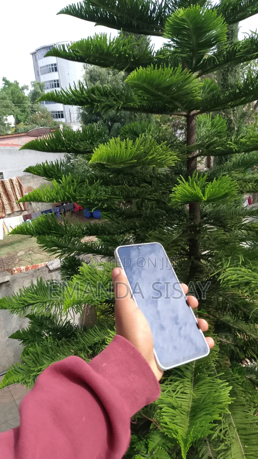 Samsung Galaxy A16 128 GB Blue