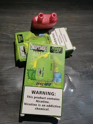 30,000 Puffs Vape