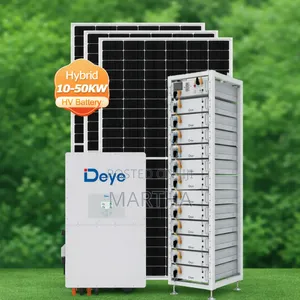 Solar Panel, Inverter and Lithium Ion Battery