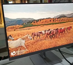Hp Monitor