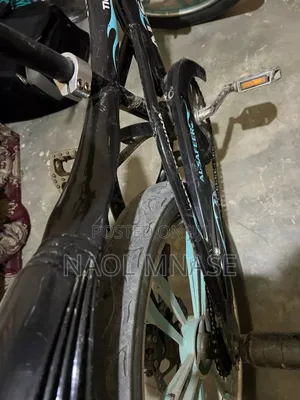Bicycles Al-Safeer