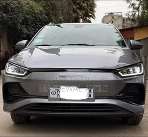 BYD E2 43 kWh 94 hp FWD 2024 Gray