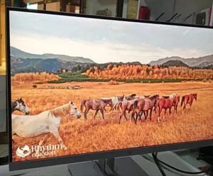 New Hp 27" Inch Frameless Monitor