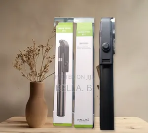 R1-L Selfie Stick – Your Travel Photography Partner