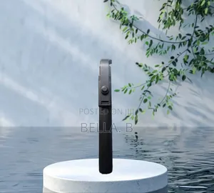R1-L Selfie Stick – Your Travel Photography Partner
