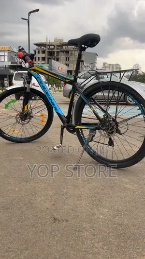 Phonix Bicycle