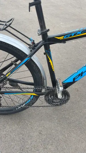 Phonix Bicycle