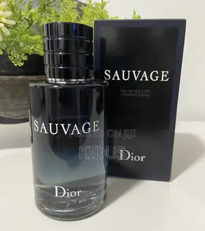 Savage Dior Perfume