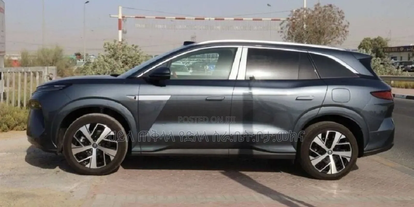 New BYD Tang EV 2025 Gray