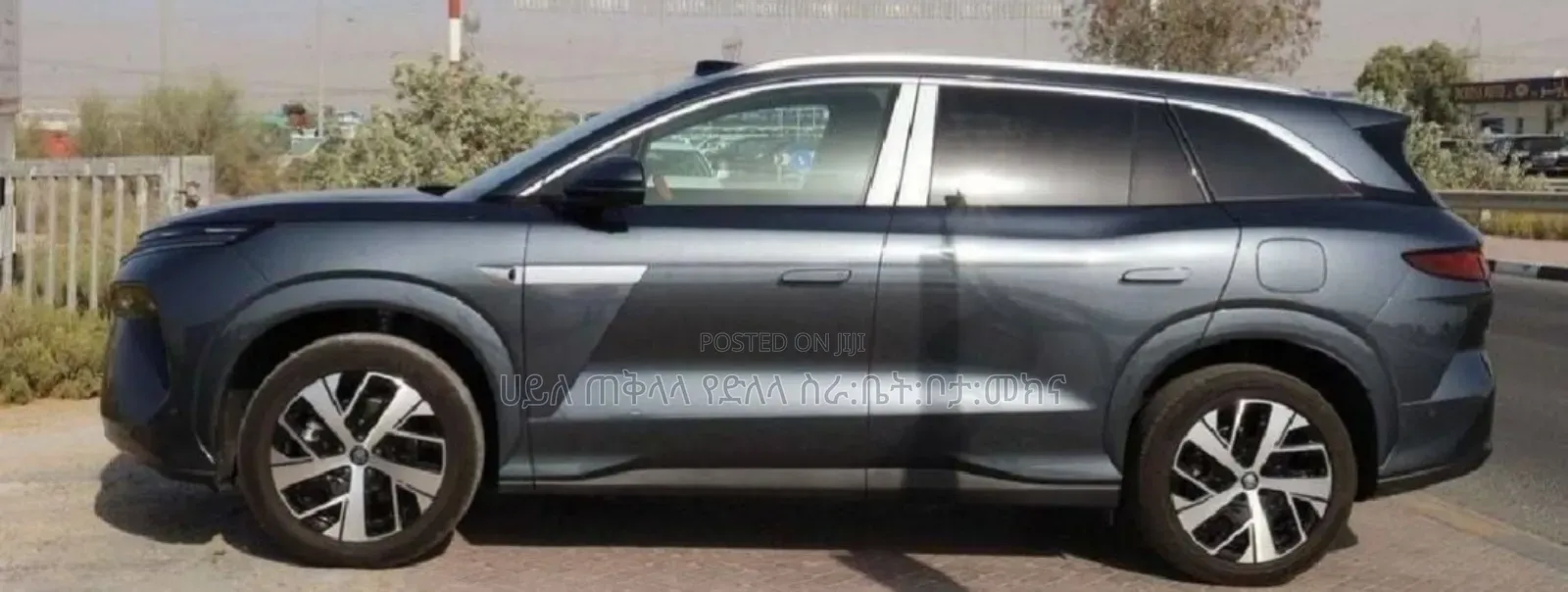 New BYD Tang EV 2025 Gray