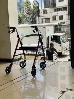 Rollator Walker