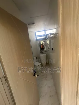 Furnished 3bdrm Apartment in የሚሸጥ አፓርታማ ብስራተ, Lideta for sale