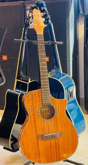 Guitar Smiger