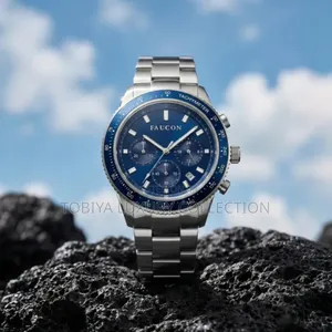 Faucon Speedtimer F10014 Order Yours Now