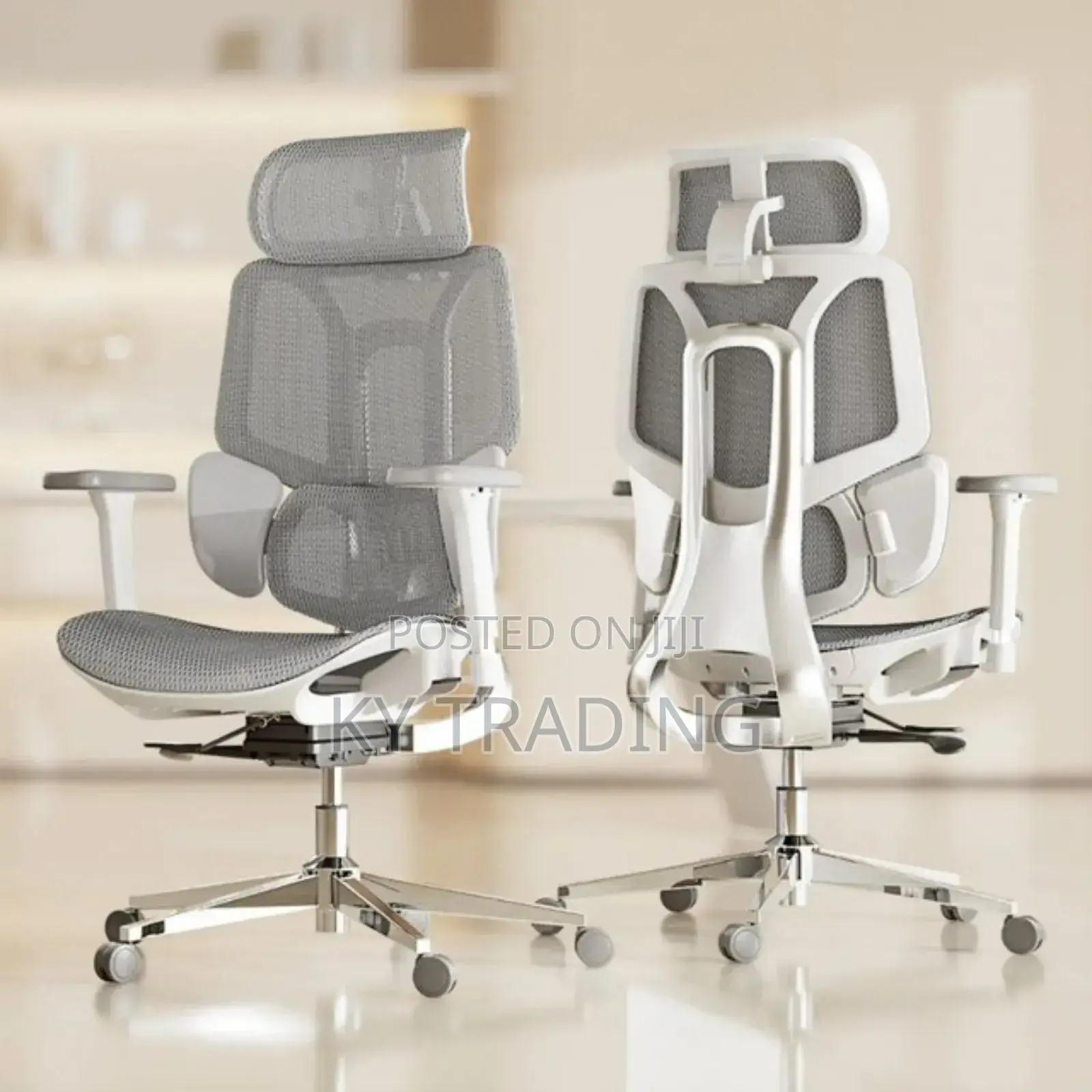 Comfortable Ergonomic Chair (Full Mesh)