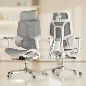 Comfortable Ergonomic Chair (Full Mesh)