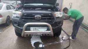 Toyota Tacoma 2019 Gray