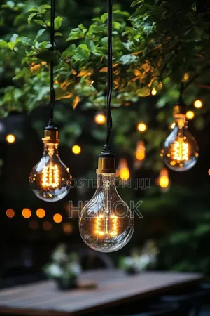 Apollo Led A60