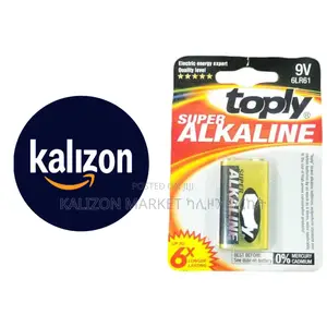 Remote And Microphone Battery