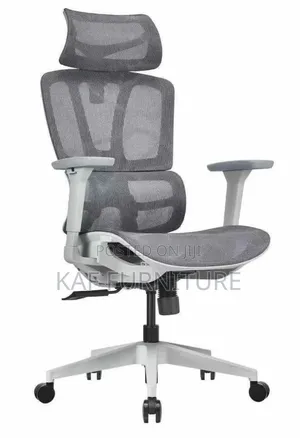 Gray Ergonomic Chaiir