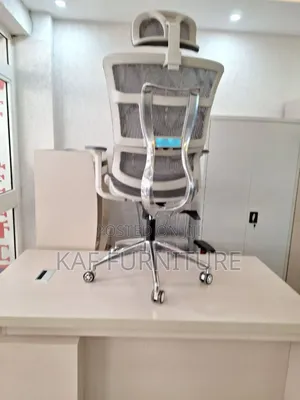 Gray Ergonomic Chaiir