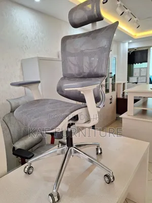 Gray Ergonomic Chaiir