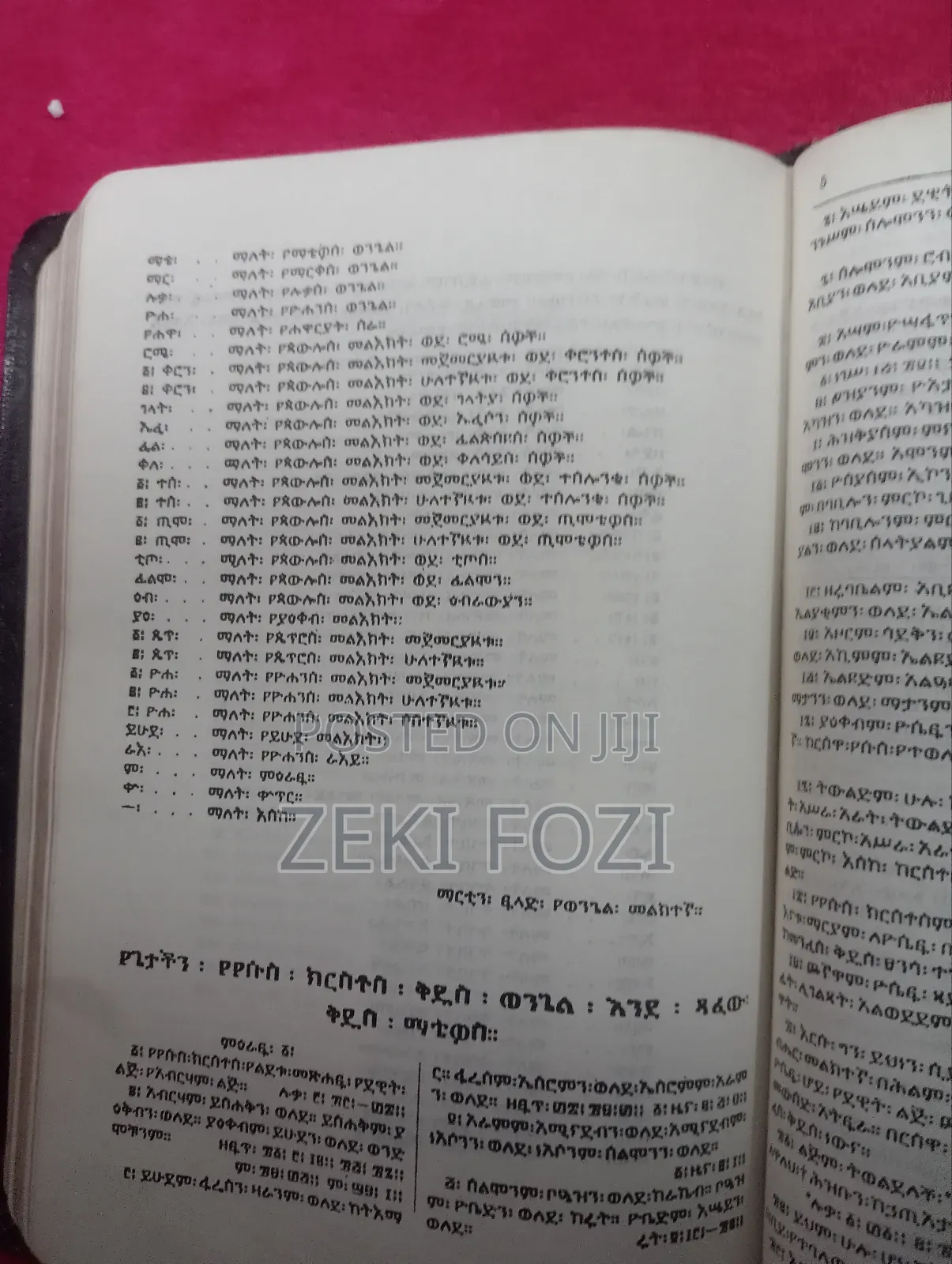 Holy Bible the First Reprint of 1878